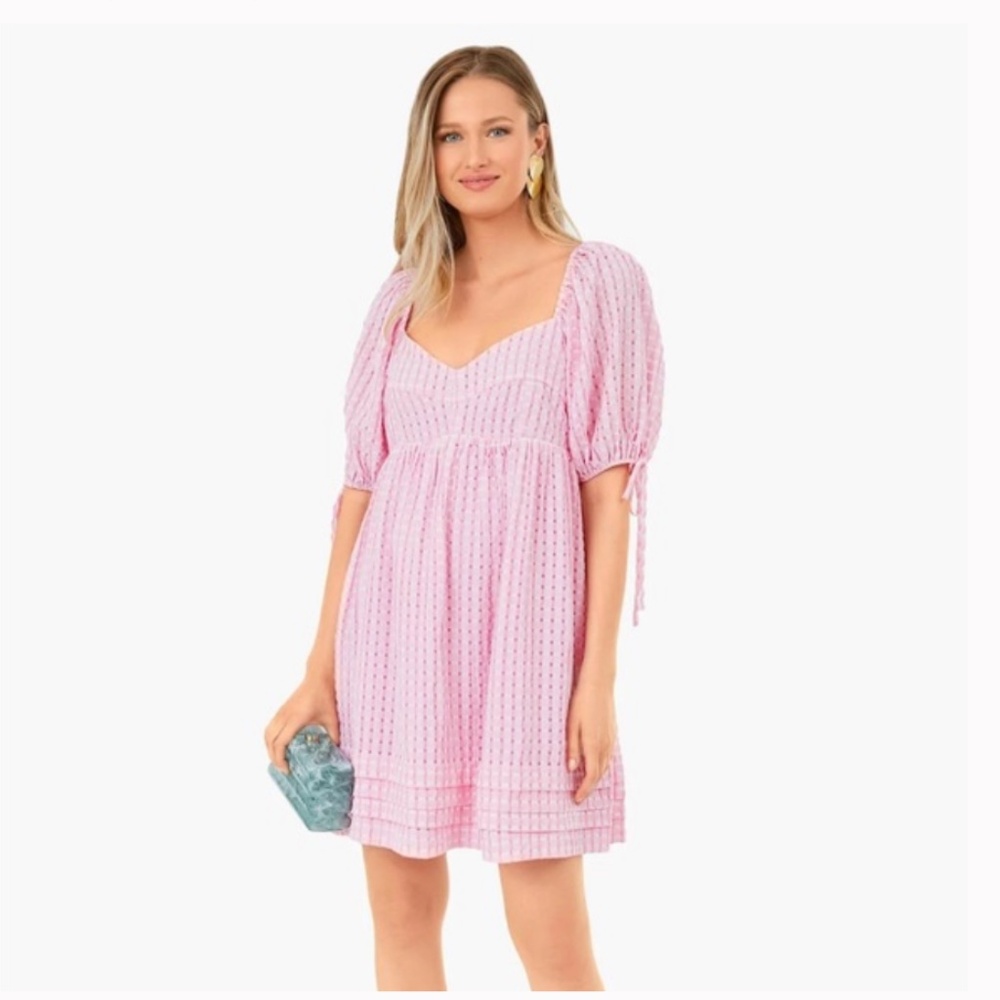 Tuckernuck Hyacinth House Pink Gingham Layton Mini Dress Size XS